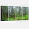 Designart - Hoh Rain Forest - Landscape Photography Canvas Art Print